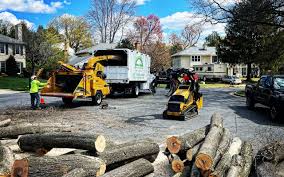 Best Utility Line Clearance  in Northville, NY